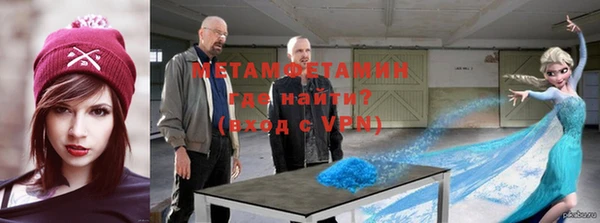 сатива Няндома