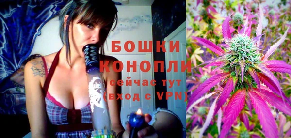 сатива Няндома