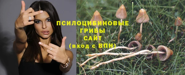 метамфетамин Нязепетровск