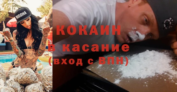 сатива Няндома