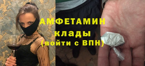 сатива Няндома